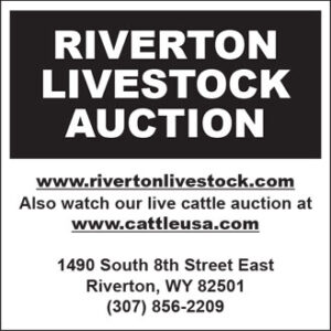 Riverton Livestock Auction