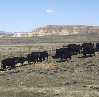 Producers and water users discuss water management – Wyoming Livestock Roundup - Wyoming Livestock Roundup