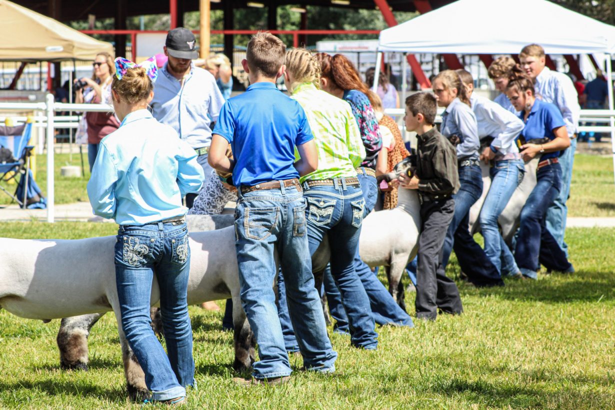 Preparation in full swing Wyoming county fair season is heating up